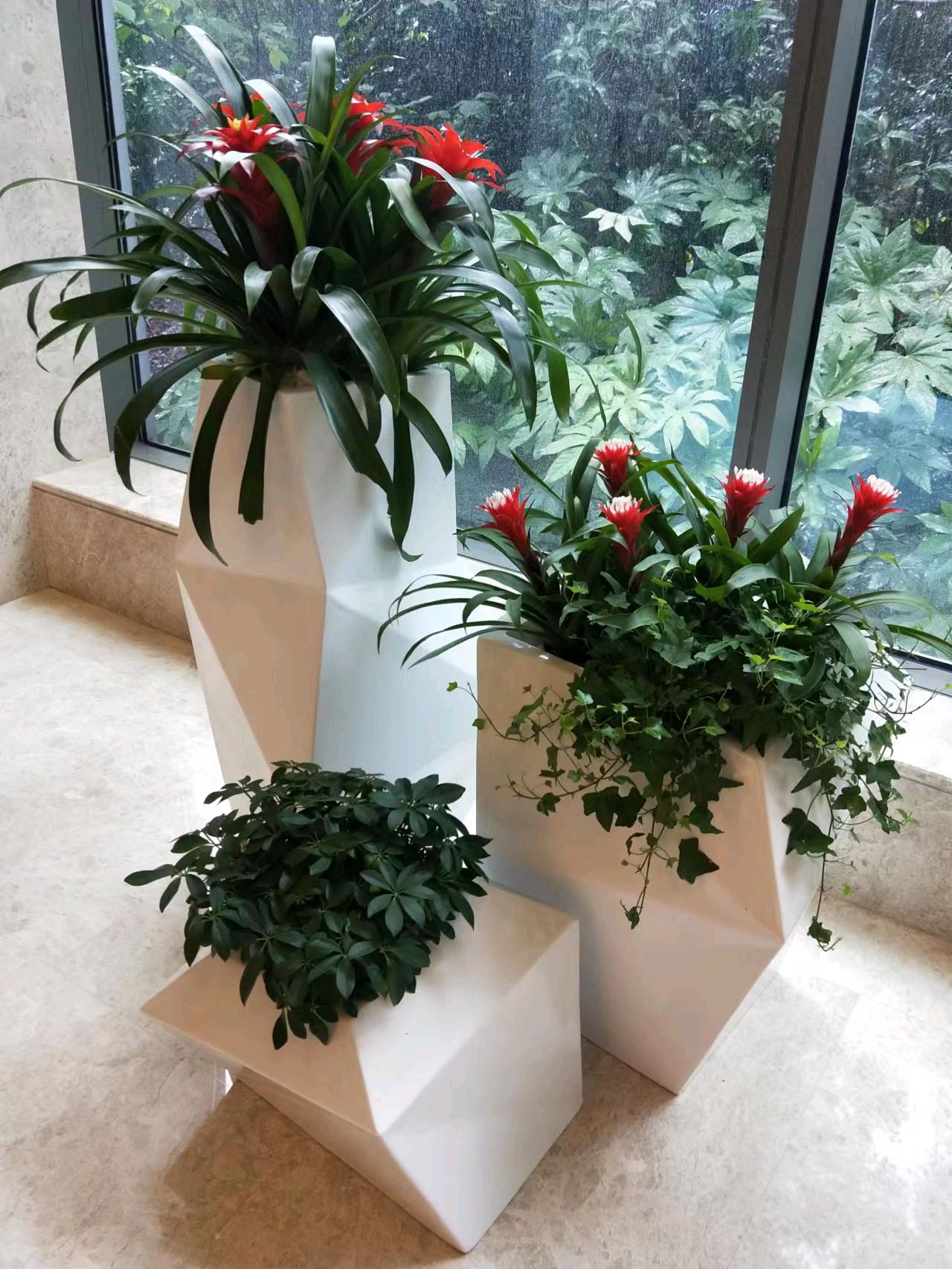 綠色生活，從專業租賃開始 一站式花卉綠植服務，打造詩意空間