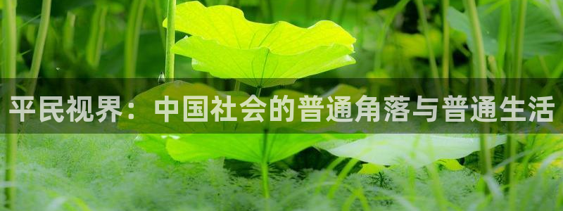 免費(fèi)福利午夜影院